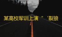 某高校军训上演“‘裂狼”，匍匐穿广西越火线、模拟拆弹反恐
